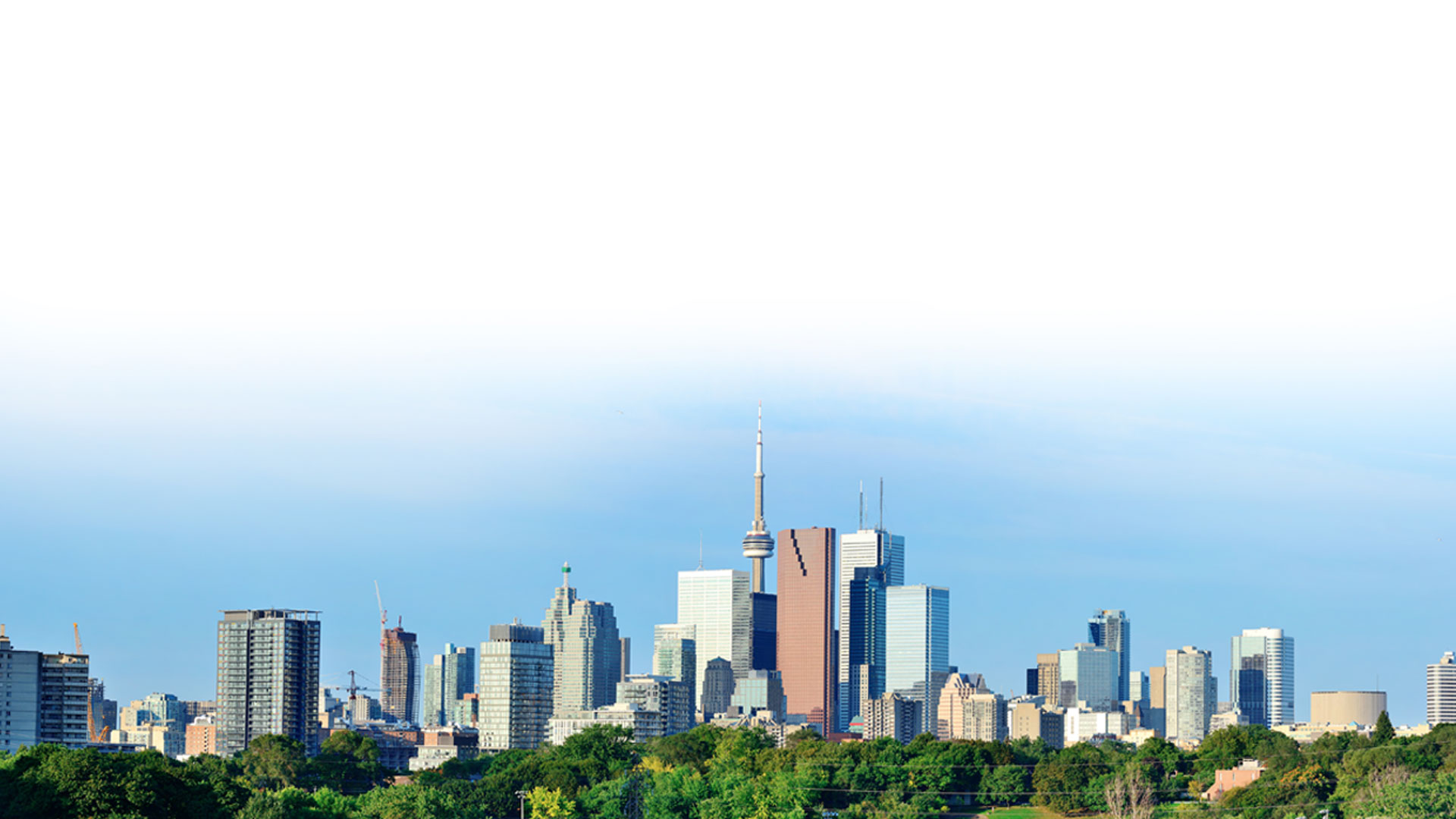 Toronto Downtown View