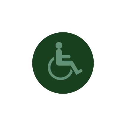 accessibility-icon
